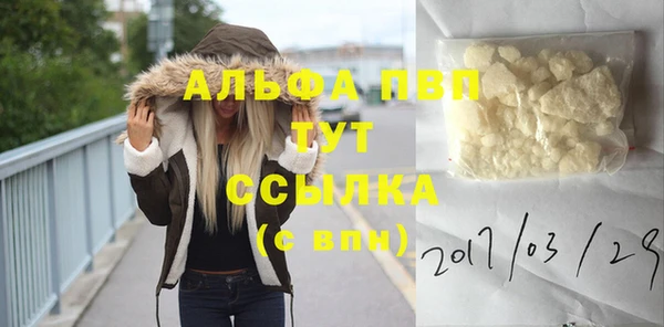 стафф Богородицк