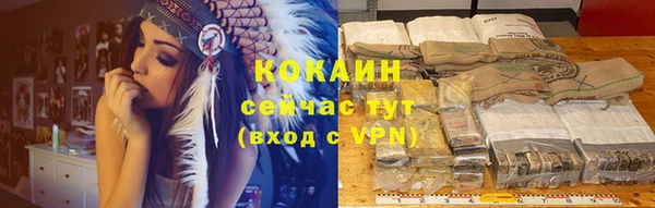 стафф Богородицк