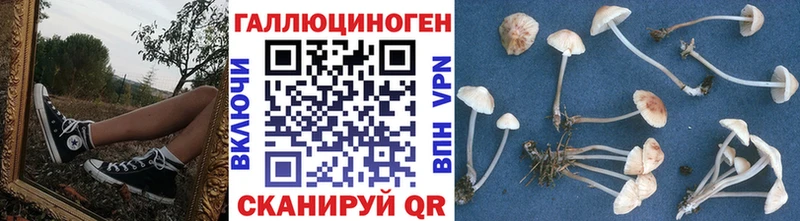 Галлюциногенные грибы мухоморы  хочу наркоту  Петропавловск-Камчатский 